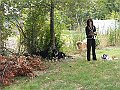 img 004